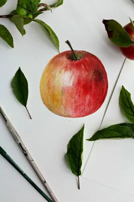 Яблоко рисунок акварелью - 45 фото