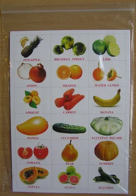РАЗВИТИЕ РЕБЕНКА: Карточки Овощи на английском языке | Овощи, Овощи для  детей, Для детей