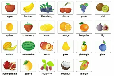 Образовательная книга с картинками на английском языке, алфавит, фрукты и  овощи из ТОЗ | AliExpress