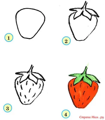Рисунки фруктов для срисовки (100 фото)