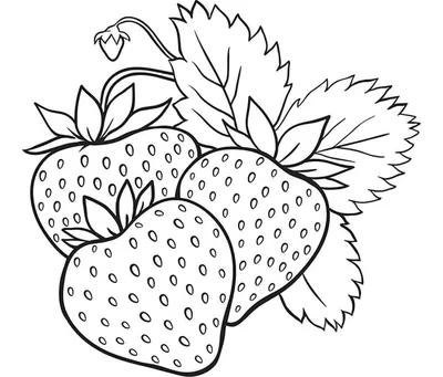 Картинка разные фрукты ❤ для срисовки