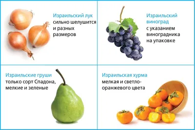 Какие экзотические фрукты полезны зимой в интернет-магазине Fruits Exotic