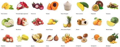 Экзотические фрукты фото с названиями из Тайланда.