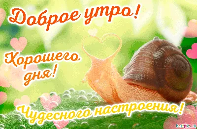 💗 Результаты поиска: страстные с добрым утром! Страничка 4! Картинки и  открытки, анимашки, гифки, гиф, gif!