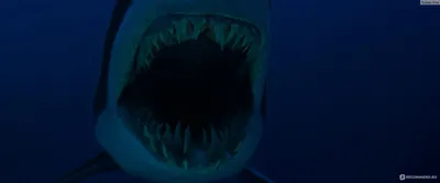 Глубокое синее море (1999) - Увлекательный фильм про акул на рубеже веков |  КиноДоктор | Дзен