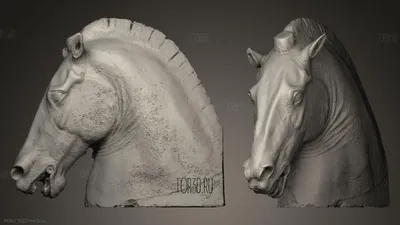 Голова лошади из конной статуи Марка Аврелия