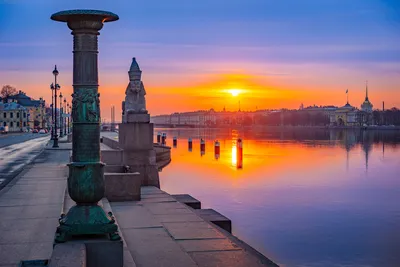 Кто и зачем едет в Санкт-Петербург? Интересы и основные профили туристов |  Ассоциация Туроператоров