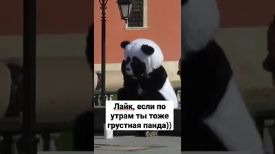 Картина Грустный панда, художник Алексей Кирьянов