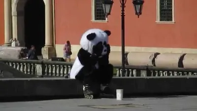 Наволочка JoyArty декоративная \"Грустная панда\" на молнии, 45x45 см -  купить в Москве, цены на Мегамаркет