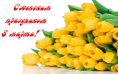 Поздравляем с 8 марта! | Молодёжный театр Волгограда