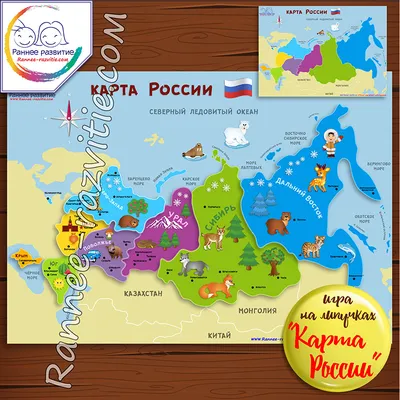 Карта России с федеральными округами Stock-Vektorgrafik | Adobe Stock