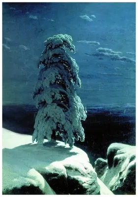 Репродукция на холсте На севере диком (In the Wild North) Шишкин Иван 30см.  x 43см. — купить в интернет-магазине по низкой цене на Яндекс Маркете