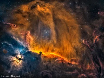 APOD: 2022 March 7 - A Lion in Orion
