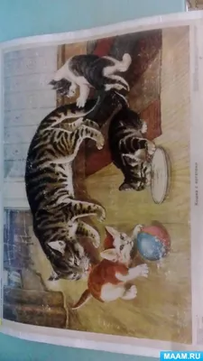 Картина по номерам Strateg Кошка с котятами размером 50х50 см (AA006)