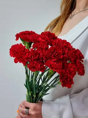 Феникс презент - Искусственный цветок Красная Гвоздика из ткани  (искусственный шелк, полиэтилен). / 44х9х9см арт.88284