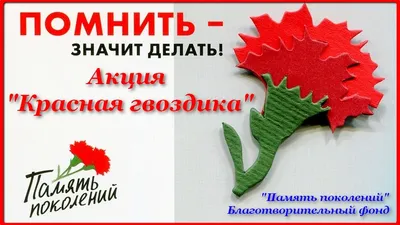 Купить красную гвоздику с доставкой в Благовещенске ❤ Azeriflores.ru —  Благовещенск