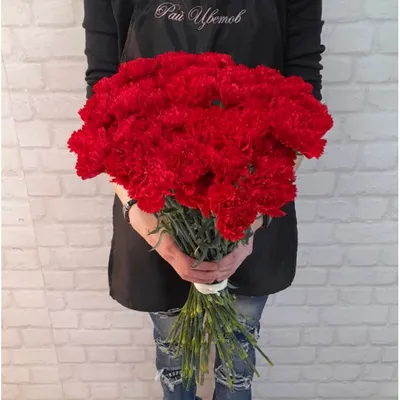 Красная гвоздика купить в Санкт-Петербурге в салоне цветов Флордель