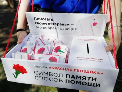 51 красная гвоздика купить с доставкой в Москве | Заказать букет цветов  недорого