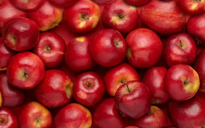 Red Apple / Красное яблоко 5 мл в Москве по доступным ценам
