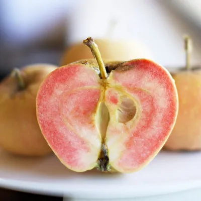Ученые выяснили, как яблоки добрались из каменного века до магазинов -  Российская газета