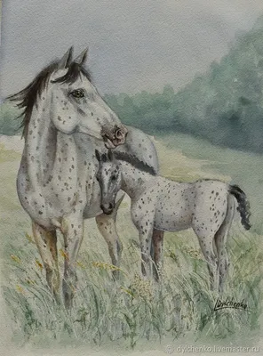 Картина по номерам \"Лошадь с жеребёнком\"