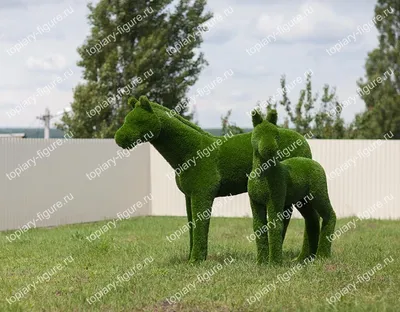 Фотообои Лошадь с жеребенком», (арт. 11876) - купить в интернет-магазине  Chameleon