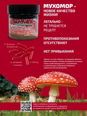 Микродозинг красного мухомора купить в Москве, цена гриба