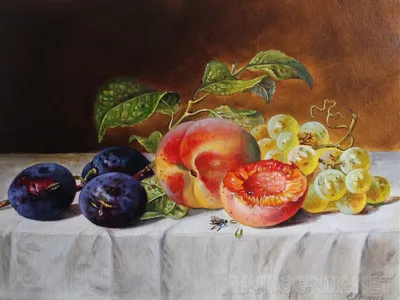 Акварель: натюрморты с фруктами | Топ-топ арт | Дзен