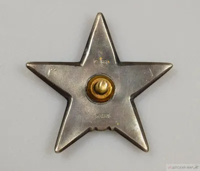 Знак \"6 Гдынский ордена Красной звезды пограничный отряд\"