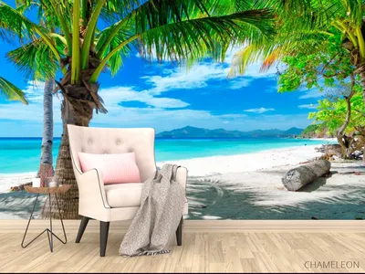 Картинки красивые на рабочий стол море пляж пальмы (70 фото) » Картинки и  статусы про окружающий мир вокруг