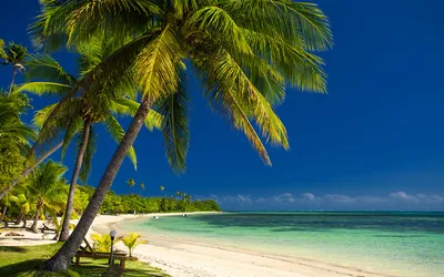 панорама тропического пляжа с кокосовыми пальмами Стоковое Изображение -  изображение насчитывающей побережье, путешествие: 215625277