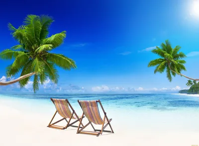пляж с пальмами находится на восточной оконечности острова, картинки пальм  и пляжей фон картинки и Фото для бесплатной загрузки