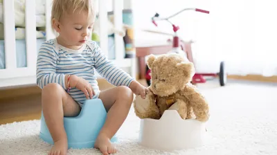Как приучить ребенка к горшку