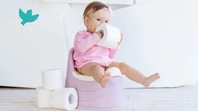 Какой выбрать горшок для ребенка - статья в интернет-магазине Avtokrisla.com
