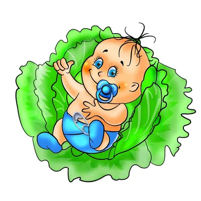 Младенец сидя среди капусты Дети найдены в капусте Стоковое Изображение -  изображение насчитывающей девушка, взволнованности: 136626249
