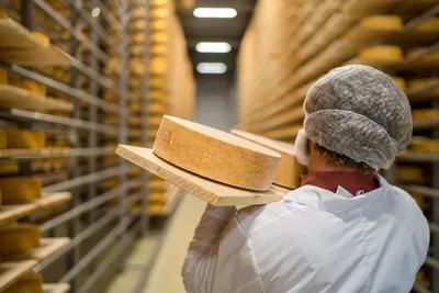 Сыр Тургау полутвердый, 45%, 4 мес, Швейцария, кг — купить в Москве по  выгодной цене