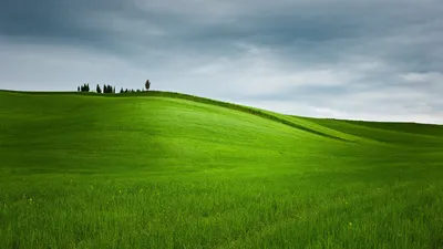 Фон для фотошопа зеленая трава (122 фото) » ФОНОВАЯ ГАЛЕРЕЯ КАТЕРИНЫ АСКВИТ