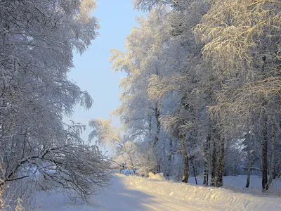 Magical music of winter. Snow fell! One of the most beautiful, magical  winter melodies! WINTER, SNOW - YouTube