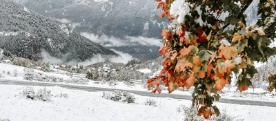 Зима, снег, мороз, солнечный день, деревья Stock-Foto | Adobe Stock