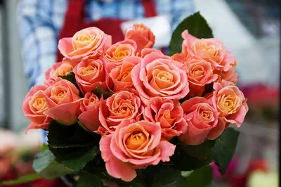 Букет из 15 красных роз на 8 марта купить в Краснодаре с доставкой