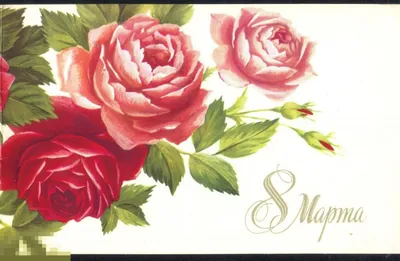 Открытки яркие и красивые открытки с розами на 8 марта...