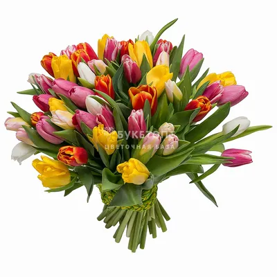Цветочный символ 8 марта - статьи интернет-магазина «Доставка цветов».