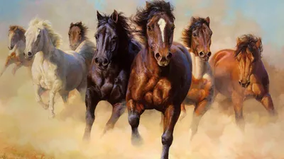 рисунок двух бегущих лошадей, нарисованные картинки лошадей, лошадь,  перевозка фон картинки и Фото для бесплатной загрузки