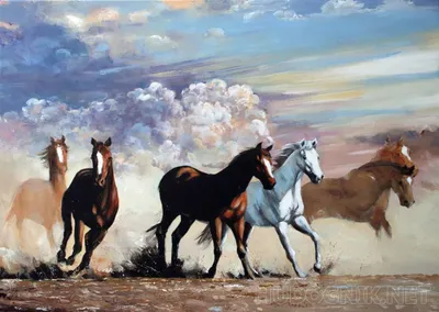Бегущие лошади — Фото №1433470