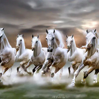 Картинки лошадь бегущий животное