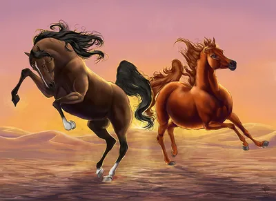 Обои на рабочий стол Табун бегущих лошадей, обои для рабочего стола,  скачать обои, обои бесплатно
