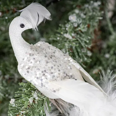 Белый павлин в Вальдштейнском саду | Пикабу