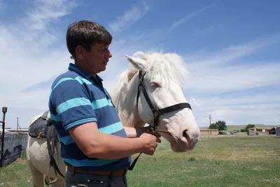 Табун белых скакунов. История создания первой в Казахстане породы лошадей