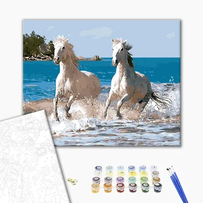 Лошадь Белый Арабский - Бесплатное фото на Pixabay - Pixabay