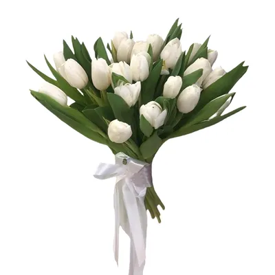 Купить букет белые тюльпаны 2500 р. в интернет магазине Модный букет с  доставкой по Москве